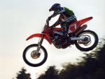 VF